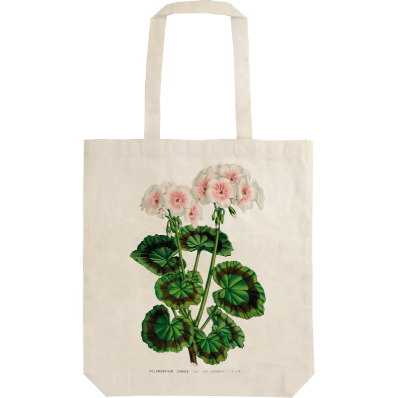 Kangaskassi Pelargoni